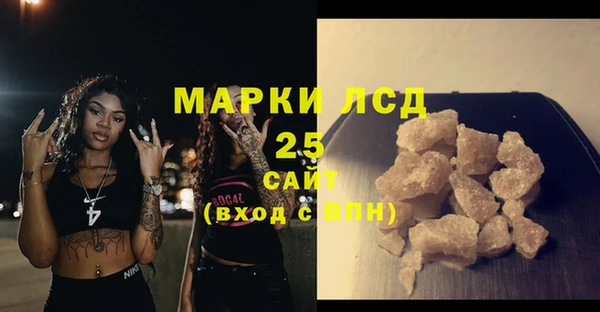 винт Лабытнанги
