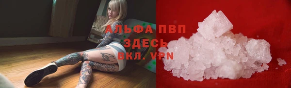 винт Лабытнанги