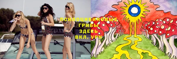 винт Лабытнанги