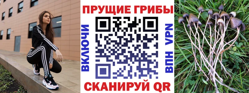 Галлюциногенные грибы мицелий Обь