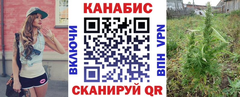 Конопля гибрид  Купить где  Обь 